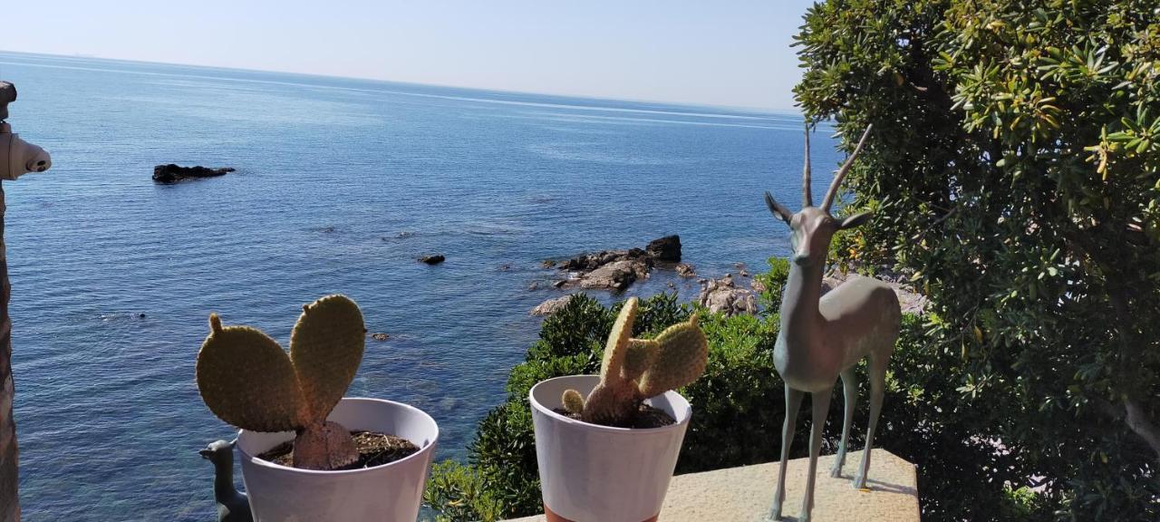 Casa Di Zuzzi Διαμέρισμα Recco Εξωτερικό φωτογραφία